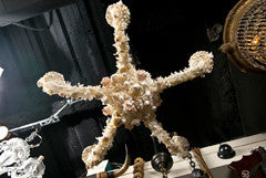 Coral Chandelier with Shells Attributed to Jensen