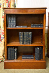 English Myrtle Burl Low Bookcase